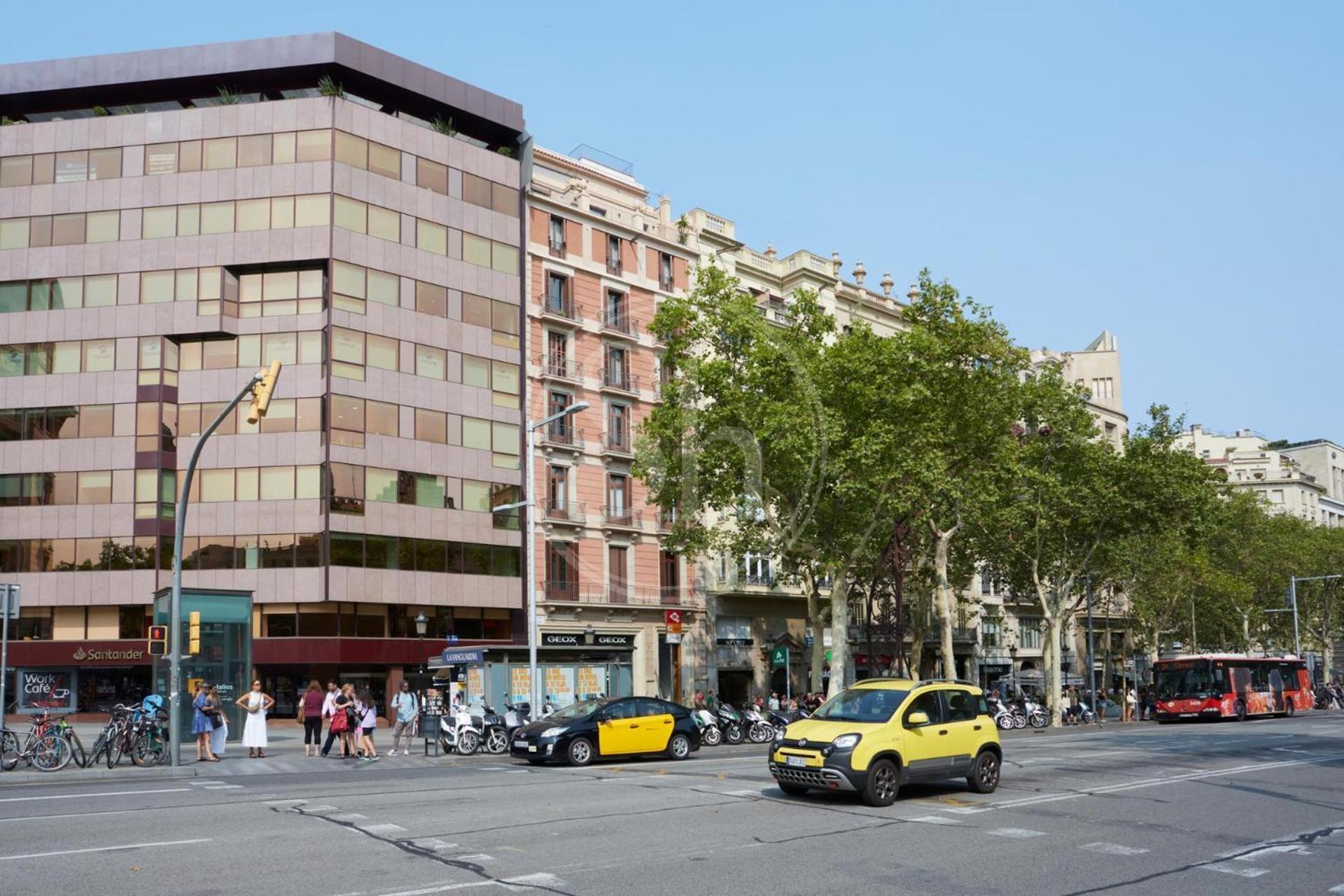 Maravilloso Frente A La Casa Batllo Apartment Barcelona